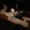 mainerock > Toby and Sadalia Jane photo