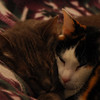 mainerock > Toby and Sadalia Jane photo