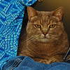 mainerock > Toby and Sadalia Jane photo