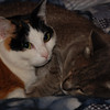 mainerock > Toby and Sadalia Jane photo