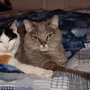 mainerock > Toby and Sadalia Jane photo