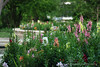 mainerock > Botanic Gardens photo