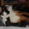 mainerock > Toby and Sadalia Jane photo