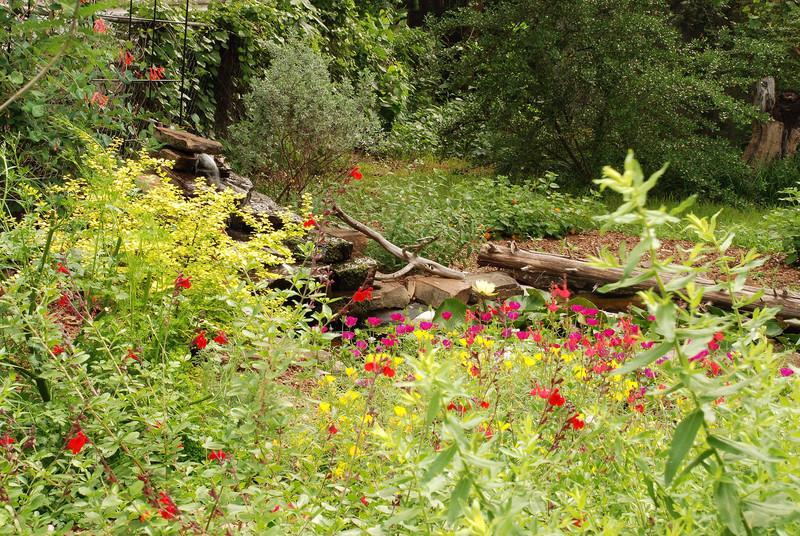 mainerock > Butterfly garden May 2008