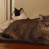 mainerock > Toby and Sadalia Jane photo